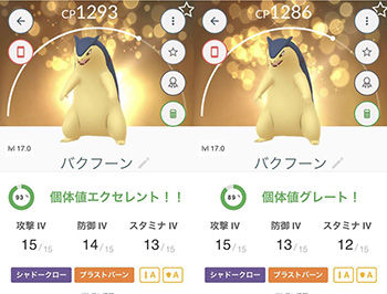 凄いのきたデイ5