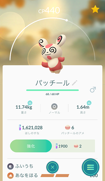パッチールオスも4