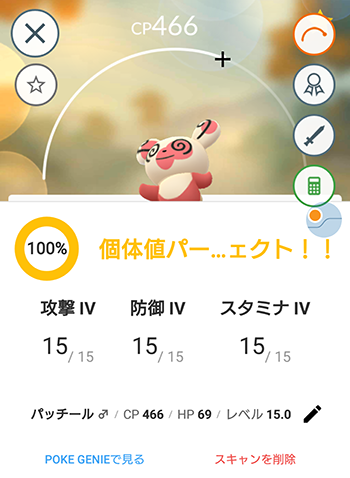 パッチール7番1