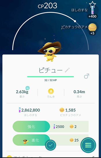 麦ピチュー2
