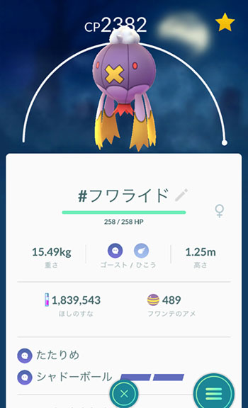 野生フワンテいない5