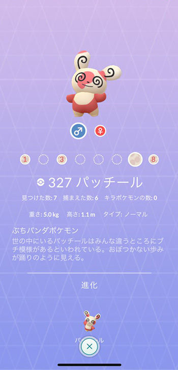 パッチール7番3