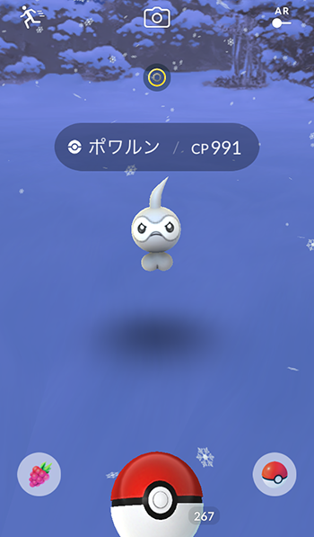 ノーマルポワルン