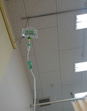 からっぽ401