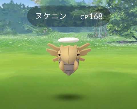 ツチニン進化0