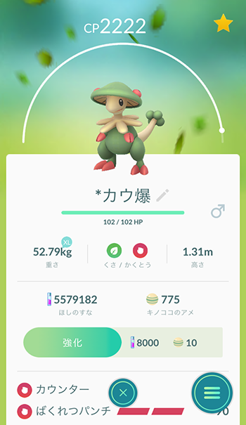 ガッサ楽しい3