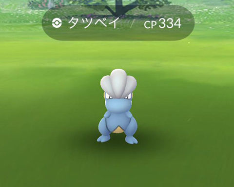 タツベイCD色違でないの0