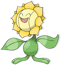 kimawari