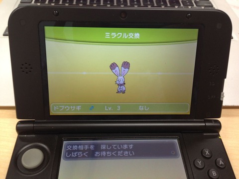 miracle2
