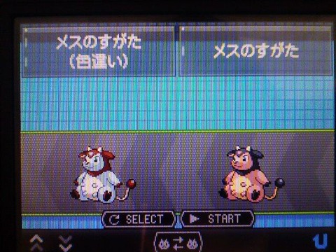 131881041200813222238_color241_Miltank