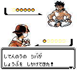 poke_pori_088