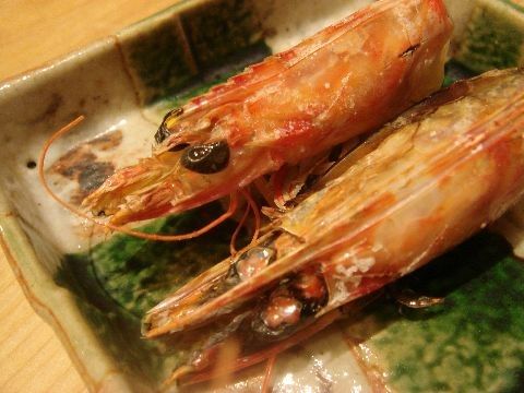 ebi