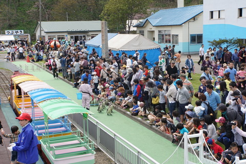 DSC08874