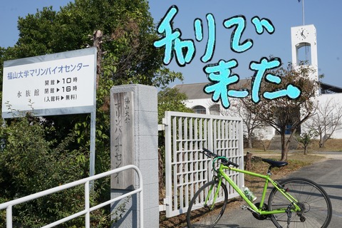 福山大学マリンバイオセンターにチャリで来た。