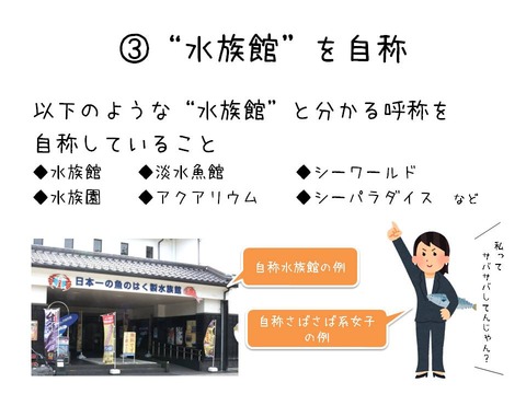 ¥¹¥é¥¤¥É6