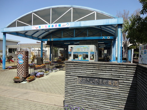 DSC05893