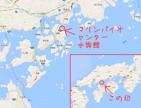 福山大学マリンバイオセンター水族館map