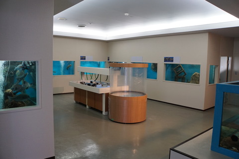 DSC00771