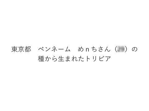スライド29