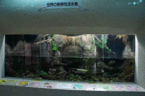 DSC05380
