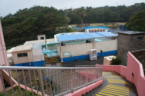 DSC05327