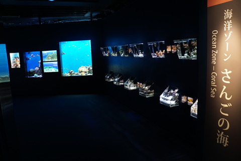 DSC08002