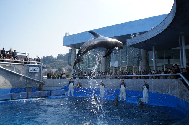 大分マリーンパレス水族館　うみたまご