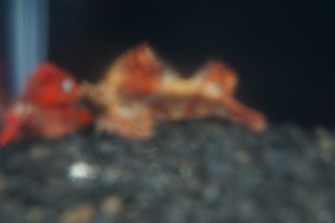 DSC08783