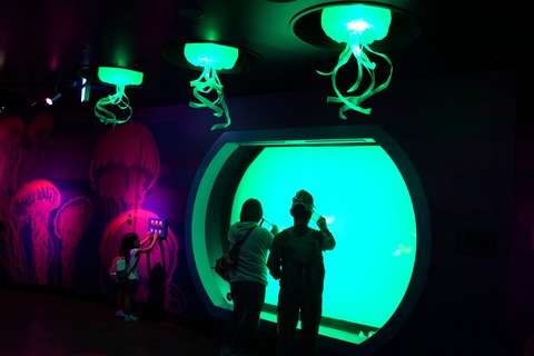 DSC08482