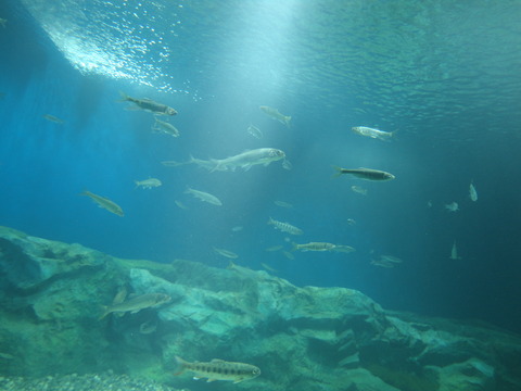DSC00069