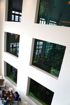 DSC02594