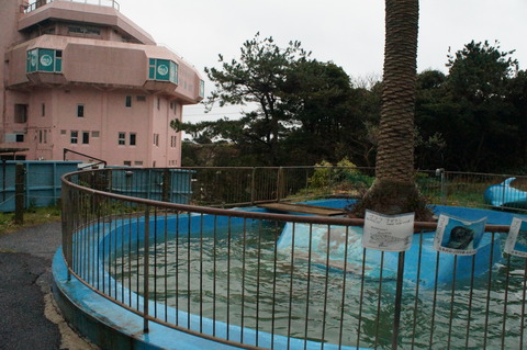DSC05488