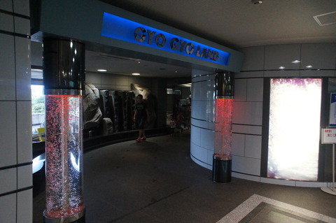 DSC09476