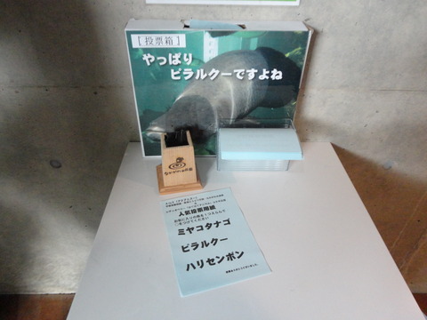 DSC01935