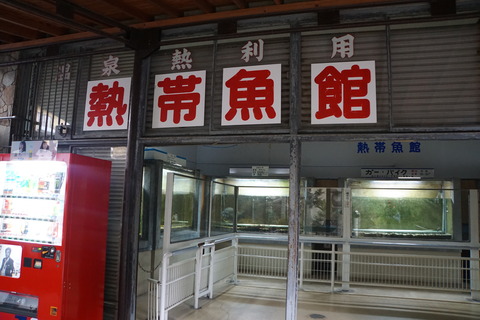 DSC07881