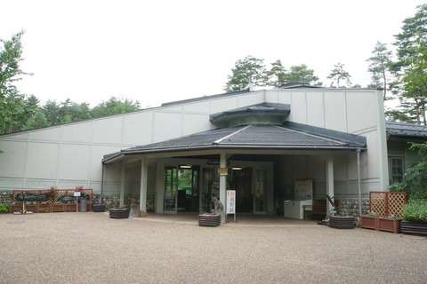 DSC03909