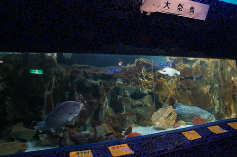 DSC05402