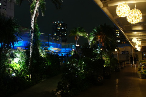 DSC00699