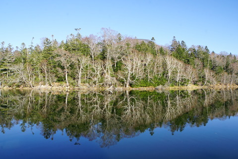 DSC03546