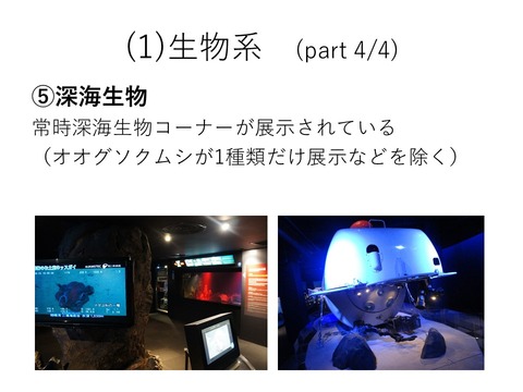 スライド14