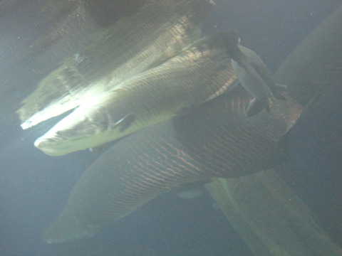 DSC01637
