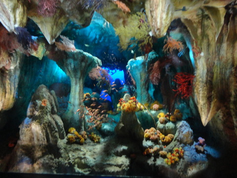 DSC00261