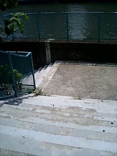 f20a2723.jpg