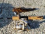 ef4683f8.JPG