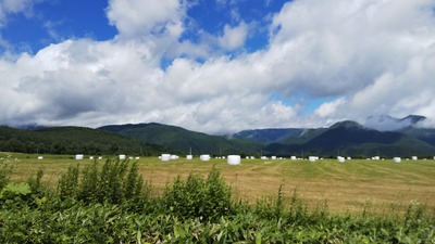 DSC_0063