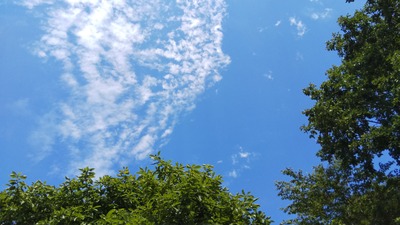 DSC_0079