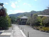 b919cd0d.JPG