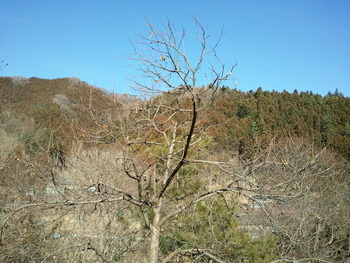 304dfe7b.jpg