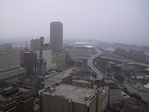 Rainy_Buffalo