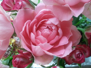 599c6570.jpg